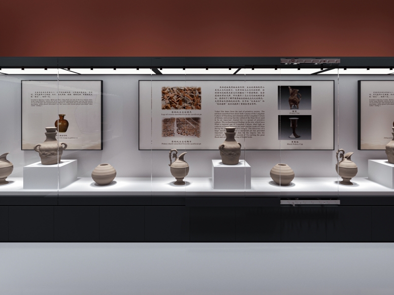 Wall Mounted Museum Display Cases